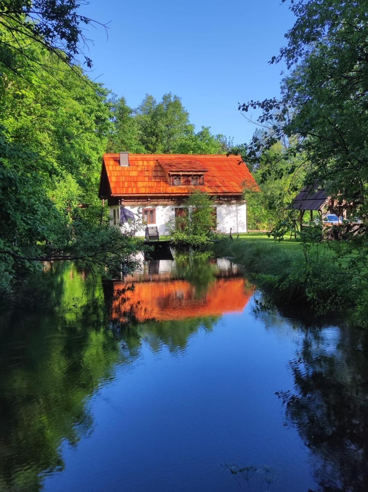 Ferienhaus Klopeinersee Kaernten Sittersdorf Exterior foto